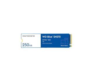 Western Digital WD Blue SN570 M.2 250 Go PCI Express 3.0 NVMe