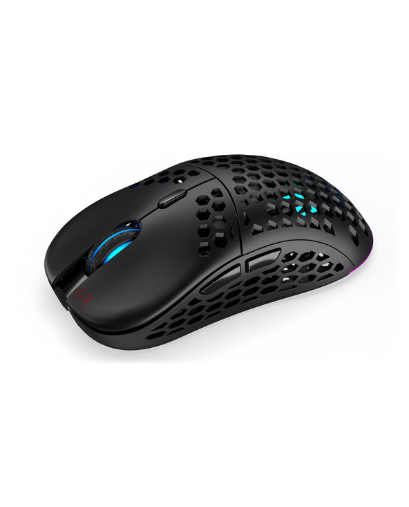 ENDORFY LIX souris Ambidextre RF Wireless + USB Type-C Optique 16000 DPI