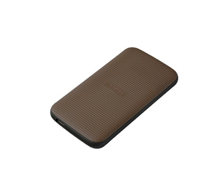 Intenso Lesen/Schreiben bis zu 1000 MB/s/500GB 500 Go Marron