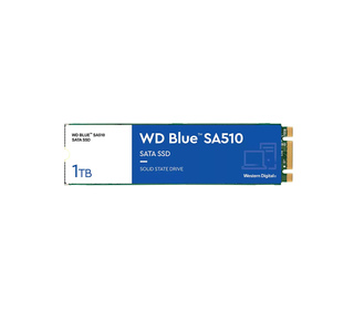 Western Digital Blue SA510 M.2 1 To Série ATA III