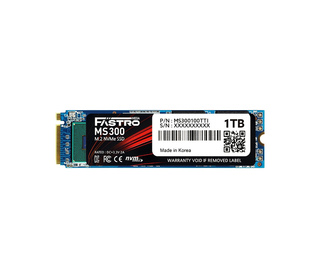 FASTRO MS300-100TTI disque SSD M.2 1 To PCI Express 4.0 3D TLC NAND NVMe