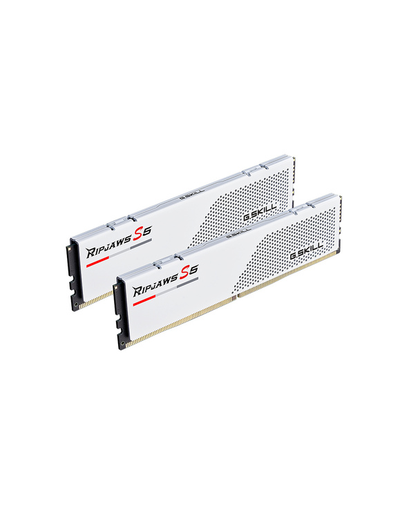 G.Skill Ripjaws F5-5600J2834F16GX2-RS5W module de mémoire 32 Go 2 x 16 Go DDR5 5600 MHz