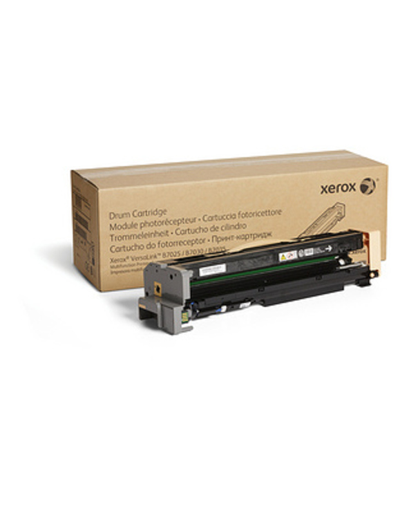 Xerox 113R00779 Cartouche de toner 1 pièce(s) Original Noir