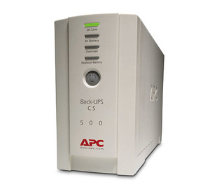 APC Back-UPS alimentation d'énergie non interruptible Veille 0,5 kVA 300 W 4 sortie(s) CA