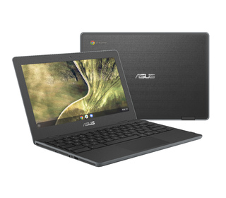 ASUS Chromebook C204MA-GJ0438 11.6" CELERON 4 Go Gris