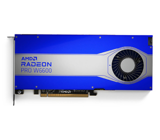 AMD Radeon PRO W6000 Radeon PRO W6600 8 Go GDDR6