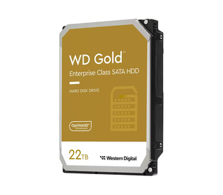 Western Digital Gold 3.5" 22 To Série ATA III