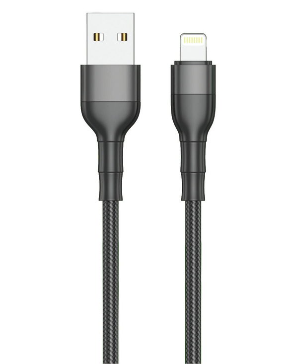 2GO 797305 câble Lightning 1 m Noir