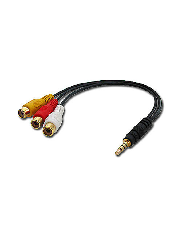 Lindy 35539 câble video composite 0,25 m 3,5mm 3 x RCA Noir Lindy 35539 câble video composite 0,25 m 3,5mm 3 x RCA Noir