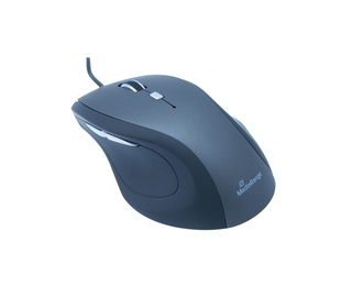 MediaRange MROS202 souris Bureau Droitier USB Type-A Optique 2400 DPI