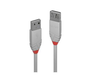 Lindy 36710 câble USB 0,2 m USB 2.0 USB A Gris