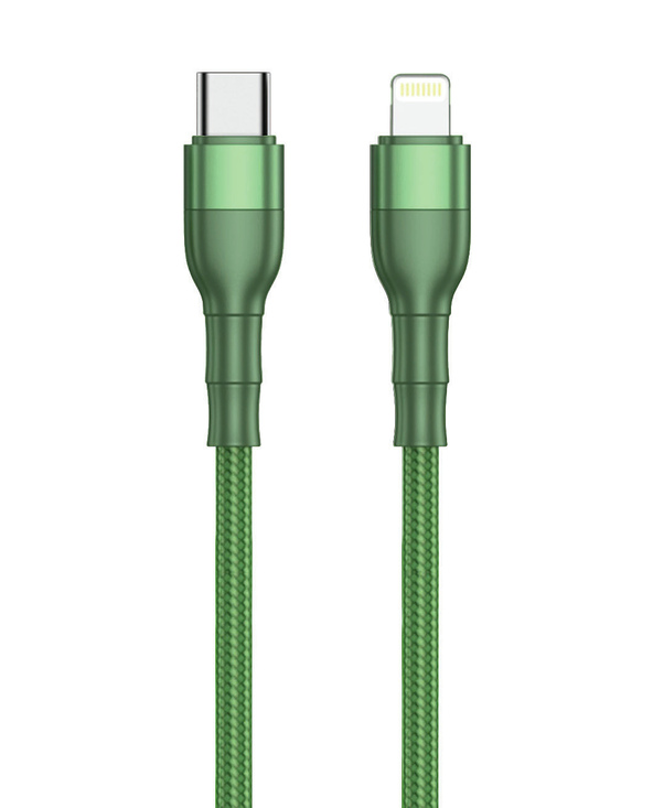 2GO 797312 câble Lightning 1 m Vert