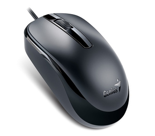 Genius Computer Technology DX-120 souris Bureau Ambidextre USB Type-A Optique 1000 DPI