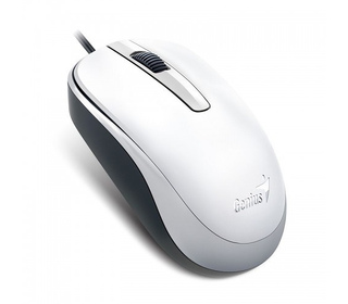 Genius Computer Technology DX-120 souris Bureau Ambidextre USB Type-A Optique 1000 DPI