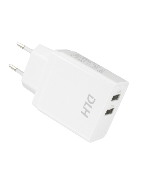 DLH CHARGEUR SECTEUR 2 PORTS USB 12W