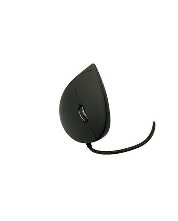MediaRange MROS230 souris Bureau Droitier USB Type-A Optique 2400 DPI