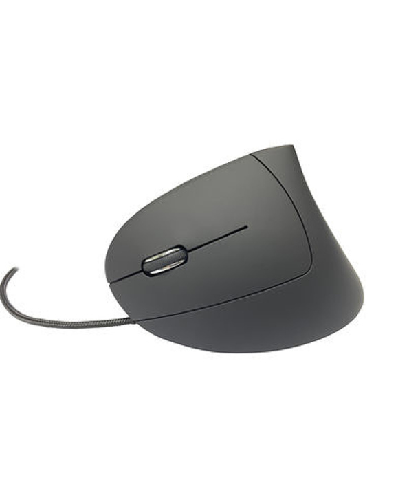 MediaRange MROS231 souris Bureau Gauche USB Type-A Optique 2400 DPI