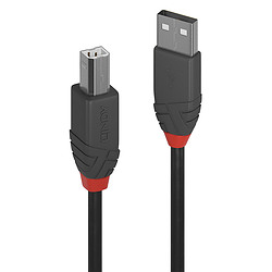 Lindy 36675 câble USB 5 m USB 2.0 USB A USB B Noir
