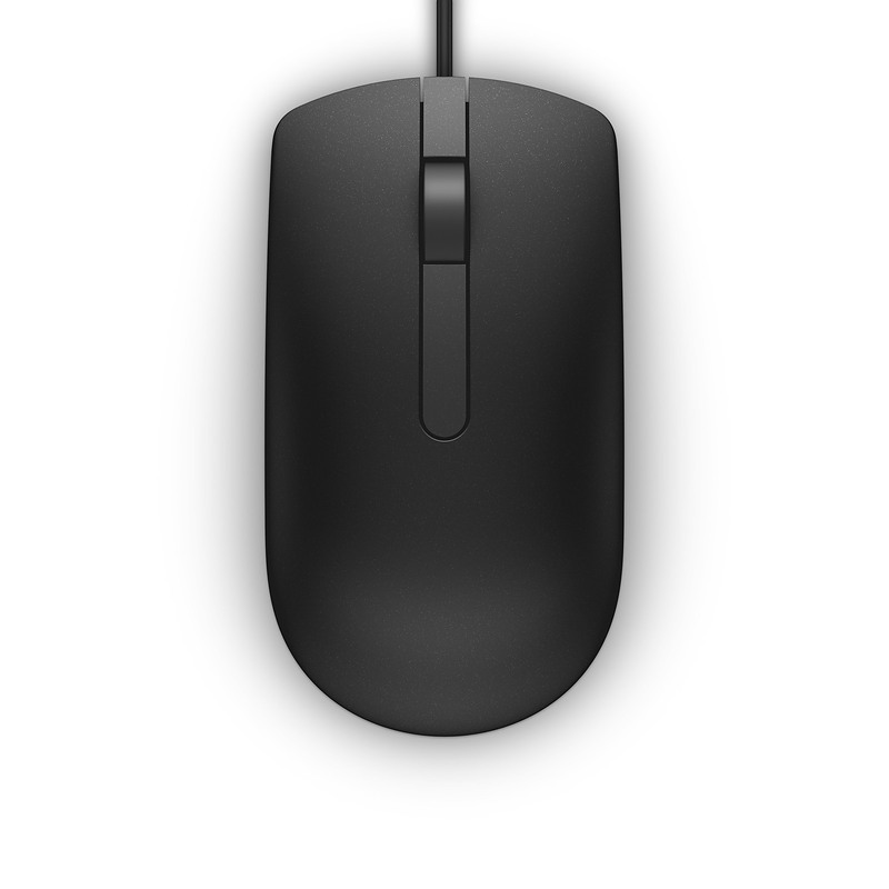 DELL MS116 souris Bureau Ambidextre USB Type-A Optique 1000 DPI