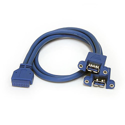 StarTech.com Câble USB 3.0 2 ports monté sur panneau – Câble USB A vers adaptateur carte mère F/F