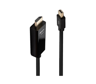 Lindy 36927 câble vidéo et adaptateur DisplayPort HDMI Type A (Standard) Noir