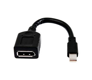 HP Câble adaptateur miniDP-DP