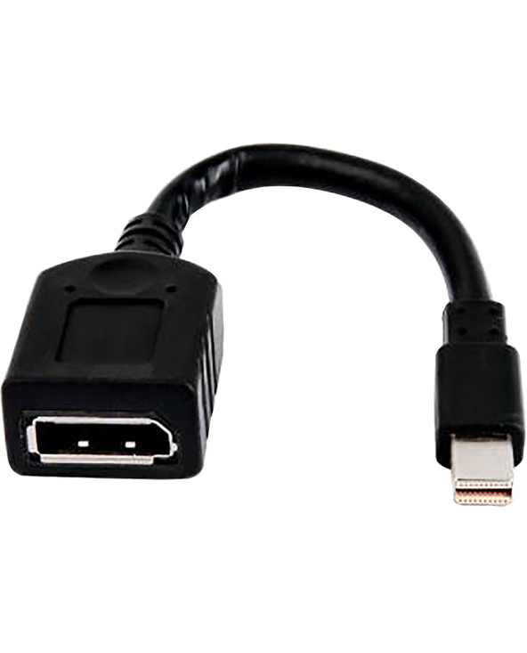HP Câble adaptateur miniDP-DP