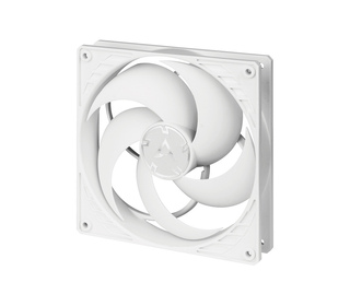ARCTIC P14 PWM Boitier PC Ventilateur 14 cm Blanc 1 pièce(s)