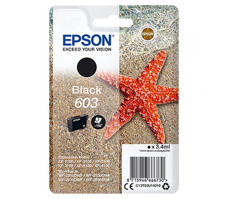 Epson Singlepack Black 603 Ink