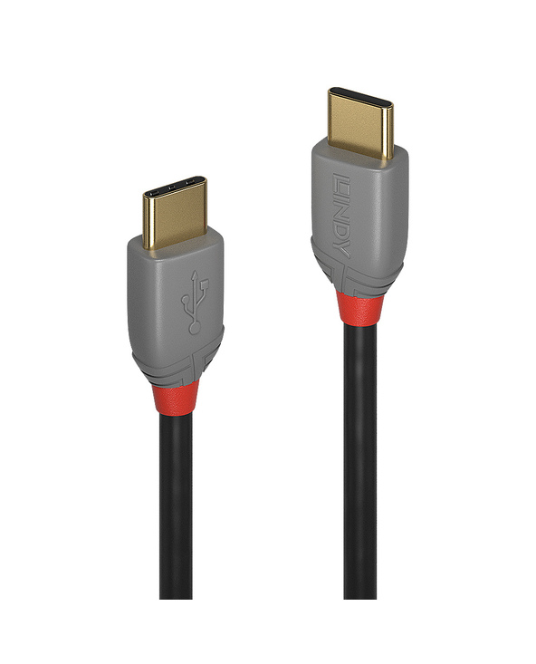 Lindy 36872 câble USB 2 m USB 2.0 USB C Noir, Gris