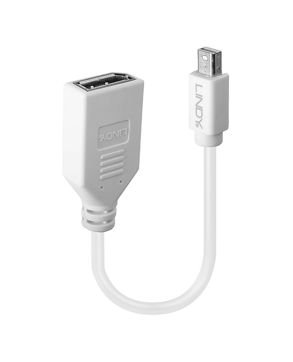 Lindy 41021 câble DisplayPort 0,15 m Mini DisplayPort Blanc