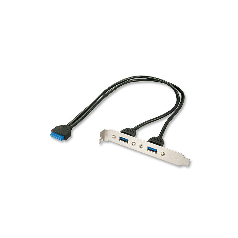 Lindy 33096 Câble USB interne