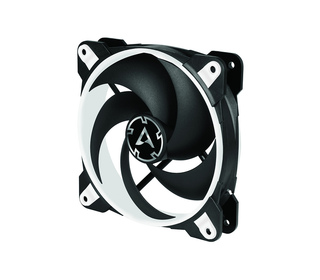 ARCTIC BioniX P120 Boitier PC Ventilateur 12 cm Noir, Blanc
