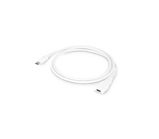 Urban Factory TCE01UF câble USB 1 m USB 3.2 Gen 1 (3.1 Gen 1) USB C Blanc