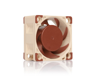 Noctua NF-A4x20 PWM Boitier PC Ventilateur 4 cm Beige, Marron