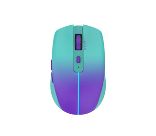 Inca IWM-511RM souris Bureau Droitier RF Wireless + Bluetooth + USB Type-C Optique 1600 DPI