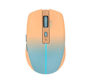 Inca IWM-511RT souris Bureau Droitier RF Wireless + Bluetooth + USB Type-C Optique 1600 DPI