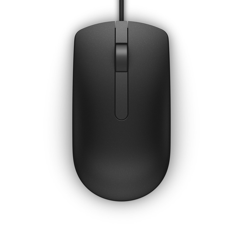 DELL MS116 souris Bureau Ambidextre USB Type-A Optique 1000 DPI