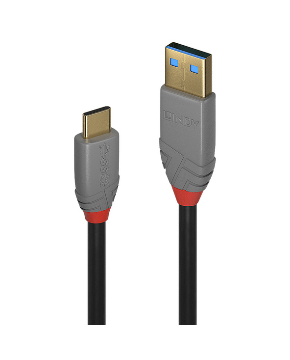 Lindy 36911 câble USB 1 m USB C USB A Noir, Gris
