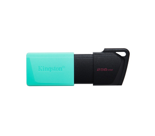 Kingston Technology DataTraveler 256GB USB3.2 Gen1 Exodia M (Noir + Turquoise)