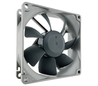Noctua NF-R8 redux 1200 Boitier PC Ventilateur 8 cm Noir, Gris