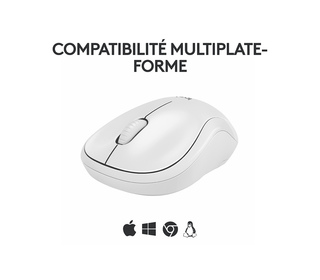 81632563