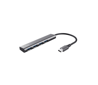 Trust Halyx USB 3.2 Gen 1 (3.1 Gen 1) Type-A 5 Mbit/s Gris