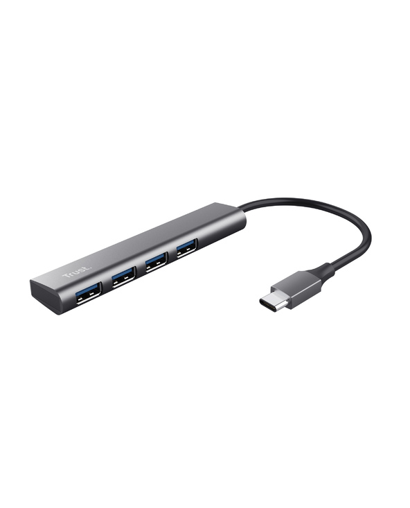 Trust Halyx USB 3.2 Gen 1 (3.1 Gen 1) Type-A 5 Mbit/s Gris