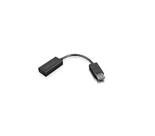 Lenovo 4X90R61023 câble vidéo et adaptateur 0,225 m DisplayPort HDMI Type A (Standard) Noir