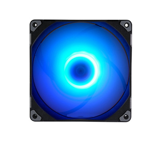 70205252