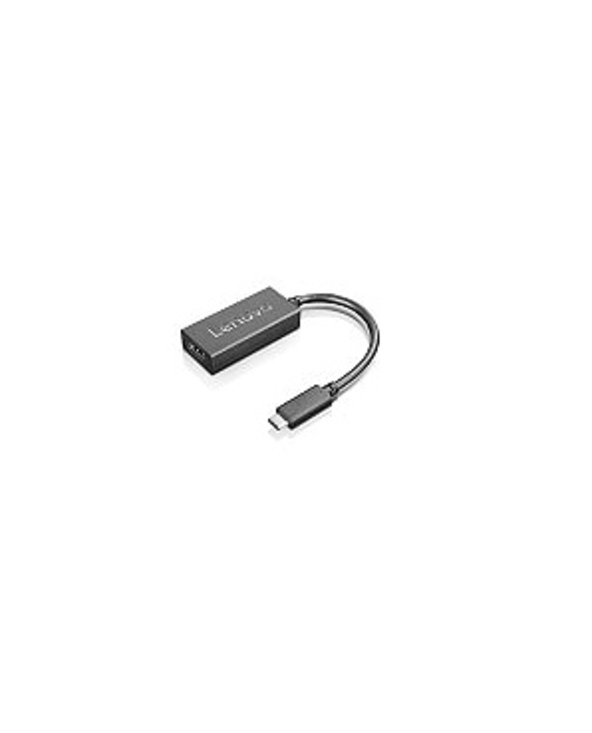 Lenovo 4X90R61022 câble vidéo et adaptateur 0,24 m USB Type-C HDMI Type A (Standard) Noir