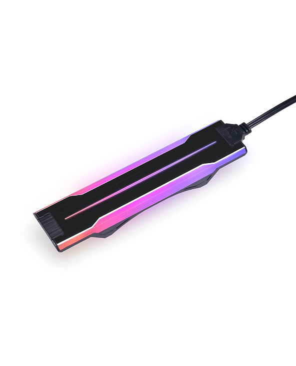 Lian Li P28ARGB-B pièce et accessoire pour systèmes de refroidissement d'ordinateurs Projecteur de fond