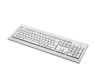 Fujitsu KB521 clavier Bureau USB Gris