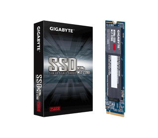 Gigabyte GP-GSM2NE3256GNTD disque SSD M.2 256 Go PCI Express 3.0 NVMe